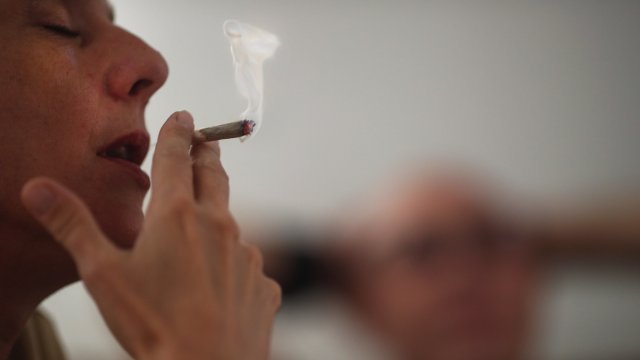 Германия иска да легализира канабиса Това е най популярният нелегален наркотик