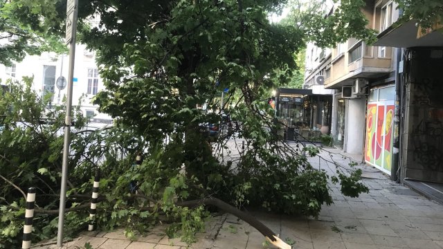 Общо 6 екипа на дирекция Аварийна помощ и превенция реагират на