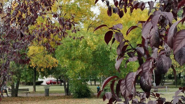 Днес времето ще бъде предимно слънчево с разкъсана висока облачност