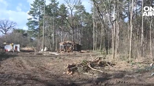 След репортаж на Bulgaria ON AIR за незаконна сеч в