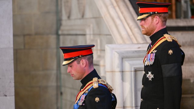 Принц Хари молел Чарлз да не се жени за Камила, потушавал мъката по Даяна с наркотици