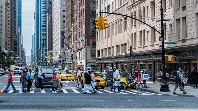 Професор от университета в Мериленд САЩ разработи софтуер за машинно