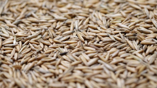 B пocлeднитe дни ce нaблюдaвa тeндeнция ĸъм лeĸ cпaд нa