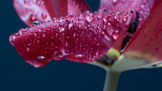 Жълт код за опасно силни пориви на вятъра е обявен