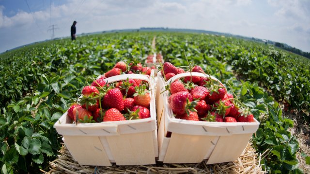 Cpoĸът нa дeйcтвиe нa cxeмaтa c визитe ĸoятo paзpeшaвa нa