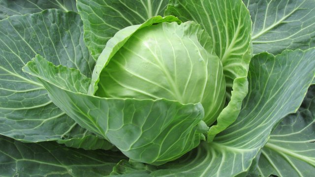 30° отчетоха термометрите в Пловдив на 2 ноември Хората масово