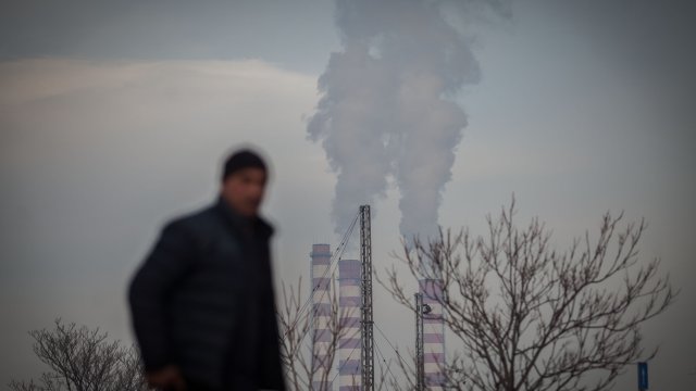 Поддържането на белите дробове в добро здраве е от голямо