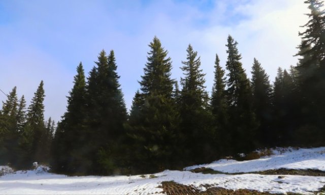 Минималните температури днес ще са между минус 3 deg и 2 deg