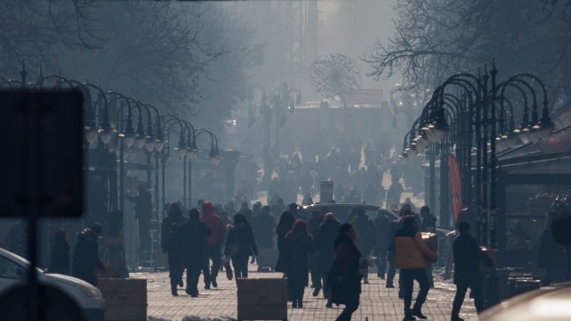 Моето решение е да не обжалваме решението на съда Разправии