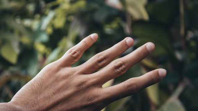 Бъбреците са незаменим орган в човешкото тяло без който животът