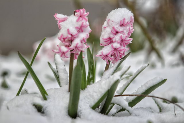 Днес ще бъде предимно слънчево Временни увеличения на облачността ще