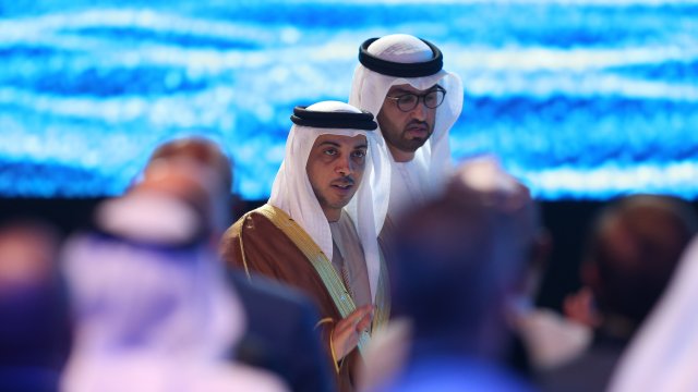 Кралските семейства на държави от Персийския залив включително Саудитска Арабия