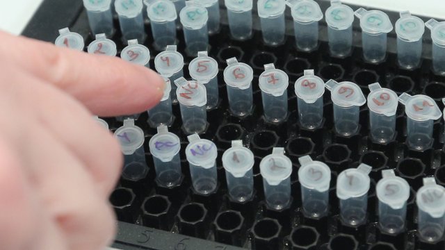 295 са новите потвърдени случаи на Ковид 19 у нас за