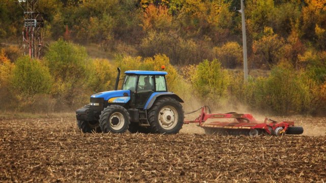 Пенсионерка от австралийското село Таларм в щата Нов Южен Уелс