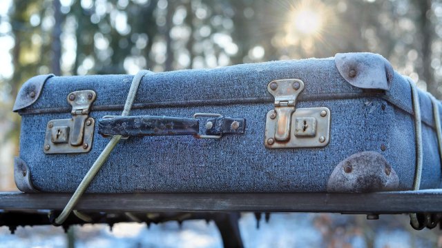Новозеландската полиция разследва предполагаемото убийство на две деца чиито останки