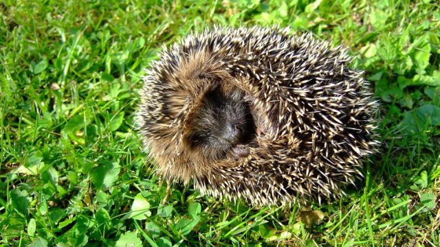 В платформата на пристигна стряскащ сигнал който гласи При косене