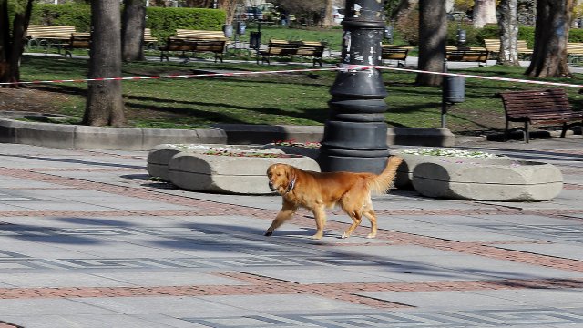 Наш потребител от Варна писа в платформата на че се