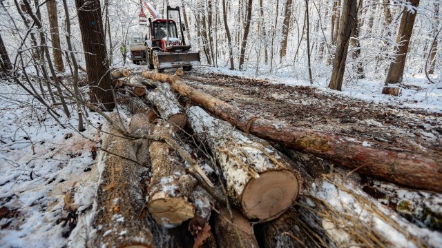 Десетки недоволни граждани се събраха тази сутрин на протест пред