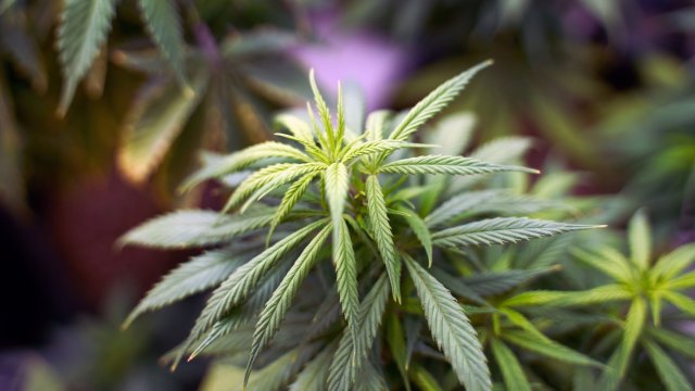 Договорките са част от по широките преговори за съставяне на ново