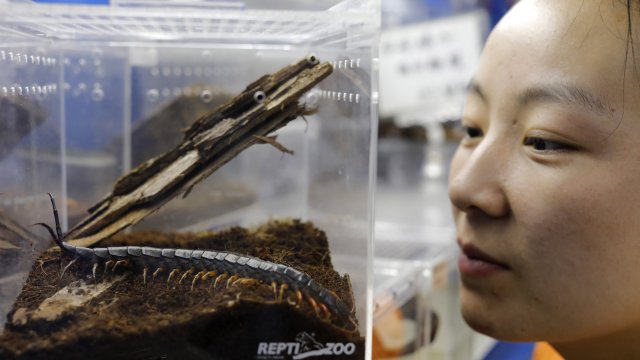 Учени откриха първата в света истинска многоножка се съобщава в