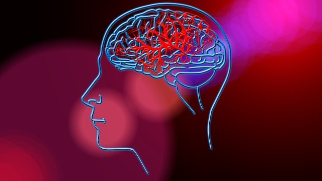 Нормалното стареене на мозъка се ускорява с приблизително 26 при