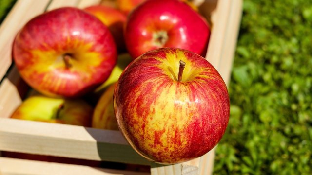 Ако отглеждате ябълки в градината си или се възползвате от