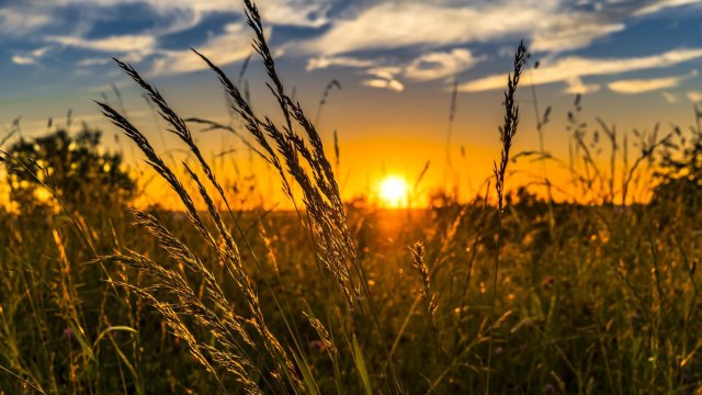 Държавното управление на зърнените и материални резерви на Китай съобщи