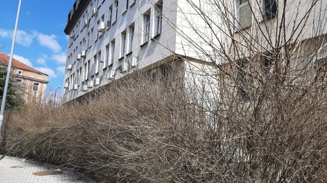 За пореден път получаваме сигнали за състоянието на град Кърджали