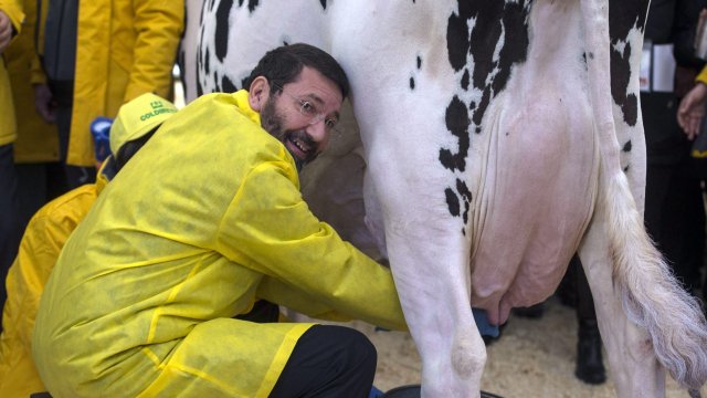 Изкуственото мляко вече е тук в САЩ то вече се
