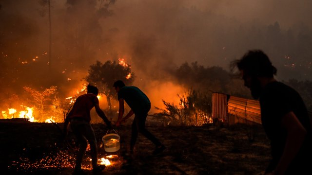 В Португалия обявиха тревога заради бушуващи горски пожари На всеки мобилен