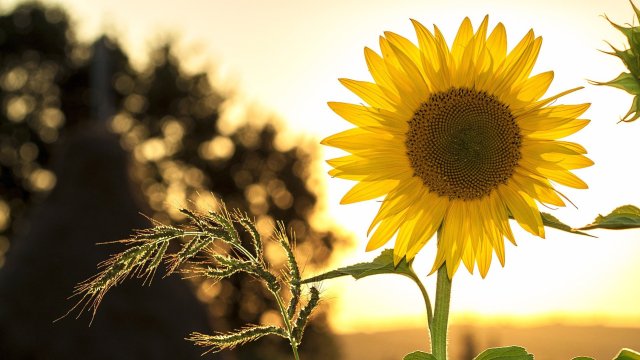 Лятото е тук и ни чакат горещи емоции Сега настроението