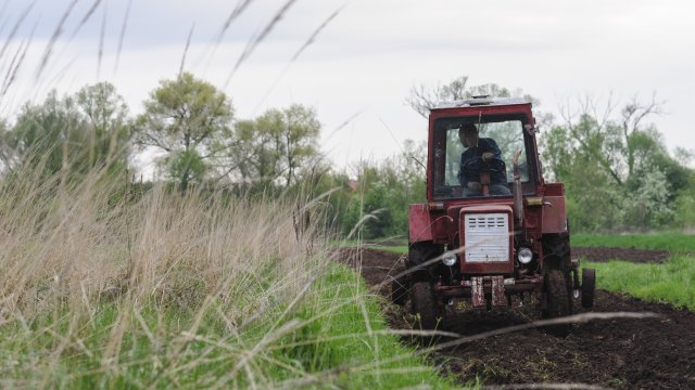 След нахлуването на Русия преди 10 седмици нещата във фермата