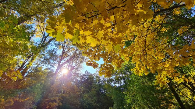 Днес ще бъде предимно слънчево В сутрешните часове в близост