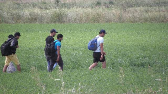 Турската жандармерия е заловила 146 мигранти, готвещи се да влязат