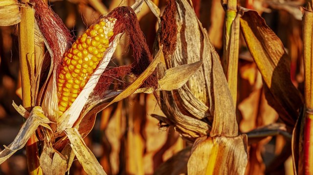 Рекордните валежи през есента ракетните удари и липсата на електроенергия