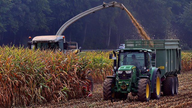 САЩ очакват да приберат най слабата реколта от царевица за последните