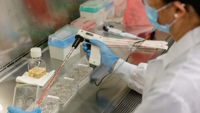 Израелски учени от университета в Тела Авив откриха антитела които