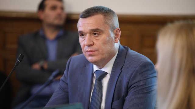 Министър Тахов увери, че няма назначена процедура за умъртвяване на животните.