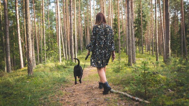 Германско проучване публикувано в The World Journal of Biological Psychiatry е