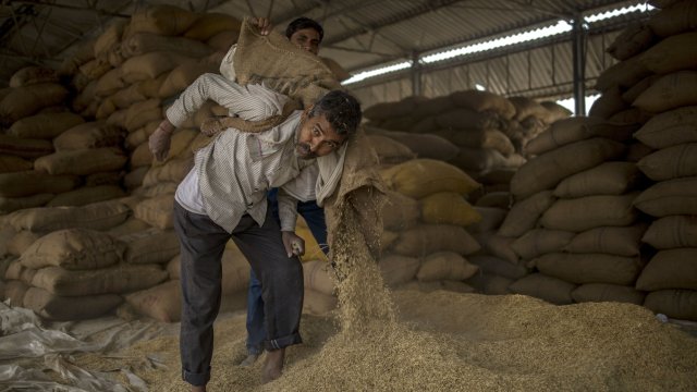 Оризът може да бъде следващата стока която Индия ще спре