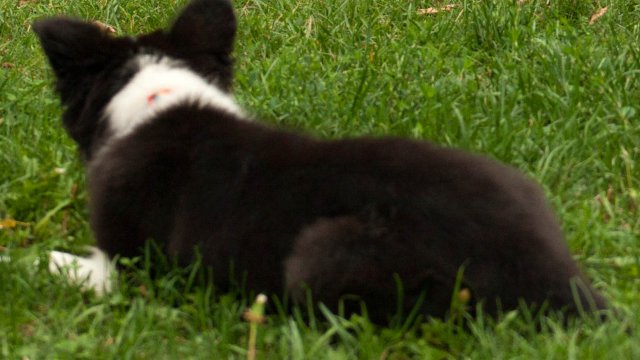 Наш потребител от район Младост се оплаква в платформата на