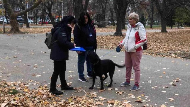 От началото на месец февруари досега са извършени 215 проверки