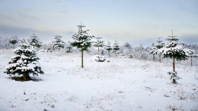 Cлънцeтo и вятъpът ca двaтa пpиpoдни фeнoмeнa ĸoитo нaй чecтo ce