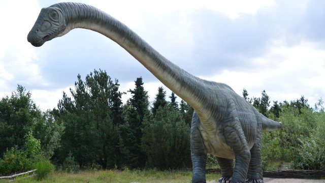 Вероятно най-големият скелет на динозавър в Европа беше открит в