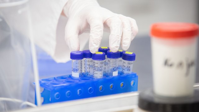 308 нови случая на коронавируса са били регистрирани през последното