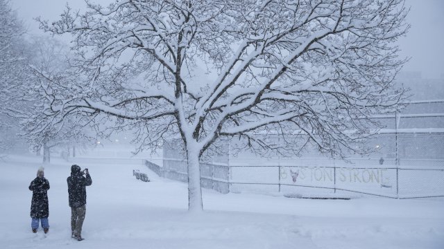 Зимна буря причини нарушения на въздушния трафик и наземния транспорт