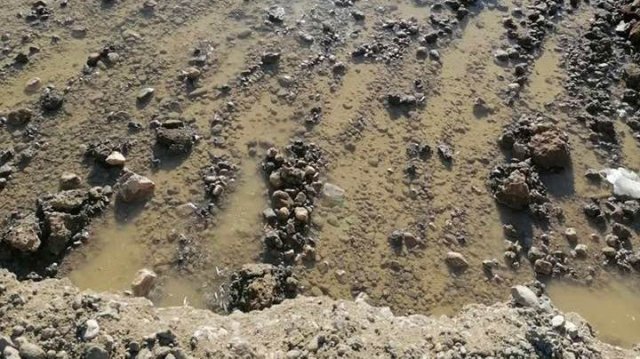 Незаконен добив на баластра е установен при специализирана операция проведена