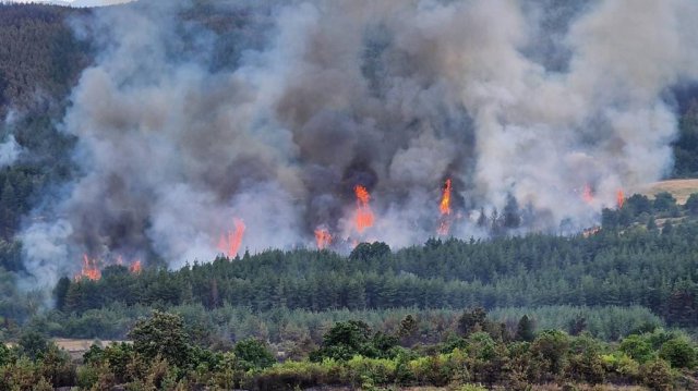  Продължава гасенето на огромния горски пожар между панагюрските села Елшица