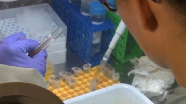 Проучване: В България по-здрави са образованите хора