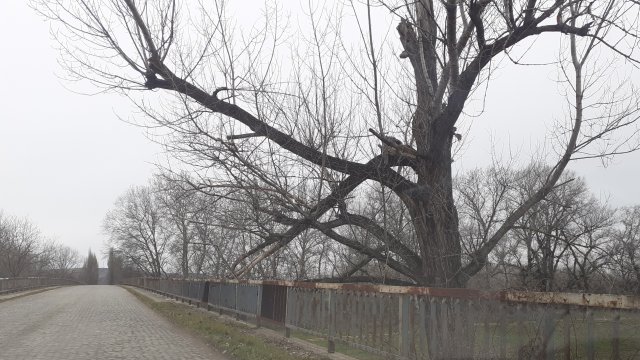 В платформата на получихме снимки на опасен мост над река